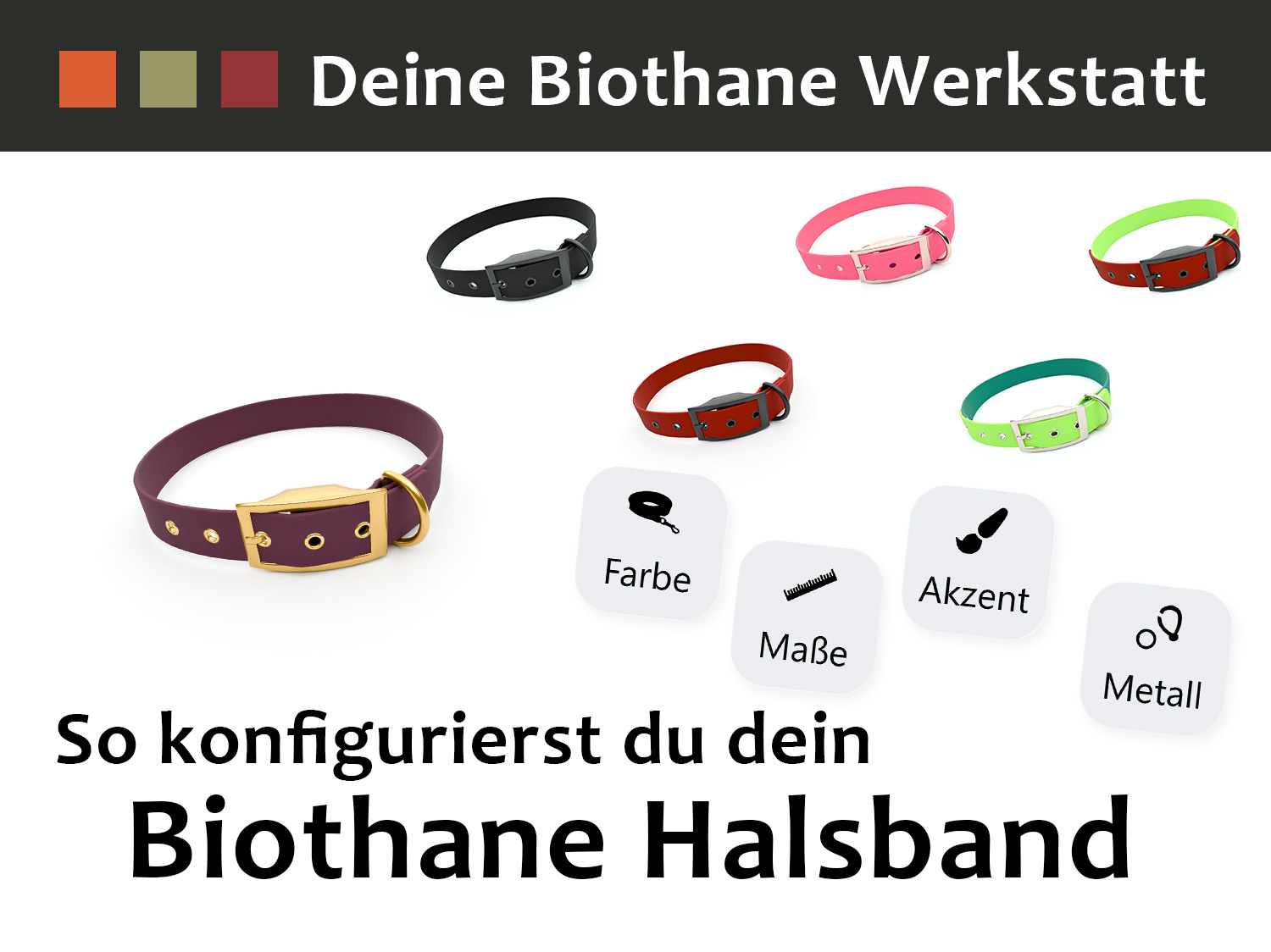 Biothane Halsband