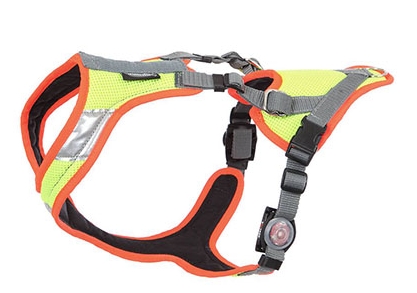 Mantrail Neon LED