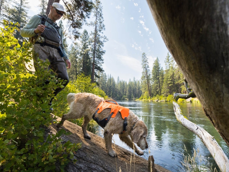 Hund mit Ruffwear Hundegeschirr