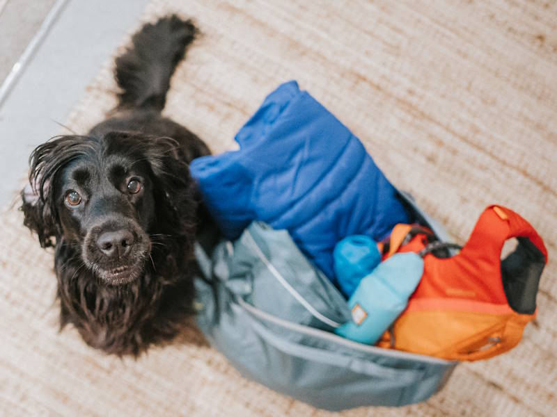 Camping-Zubehör für Urlaub mit dem Hund