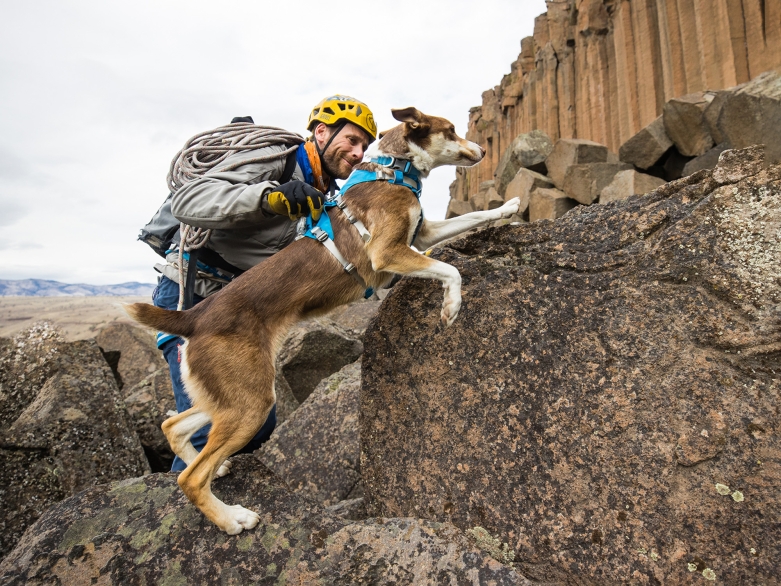 Mensch mit Hund beim Klettern, Ruffwear