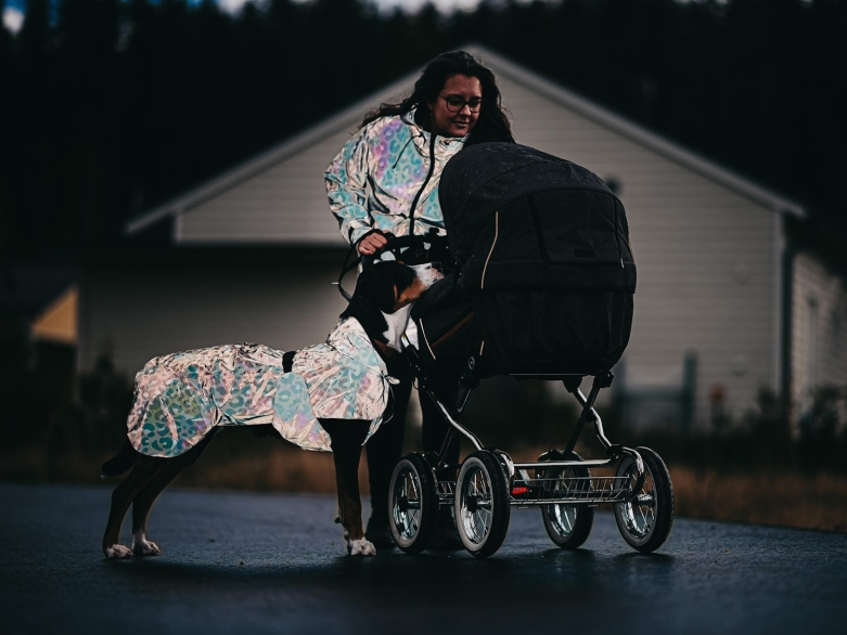 Frau  und Hund mit reflektierender Kleidung, Paikka