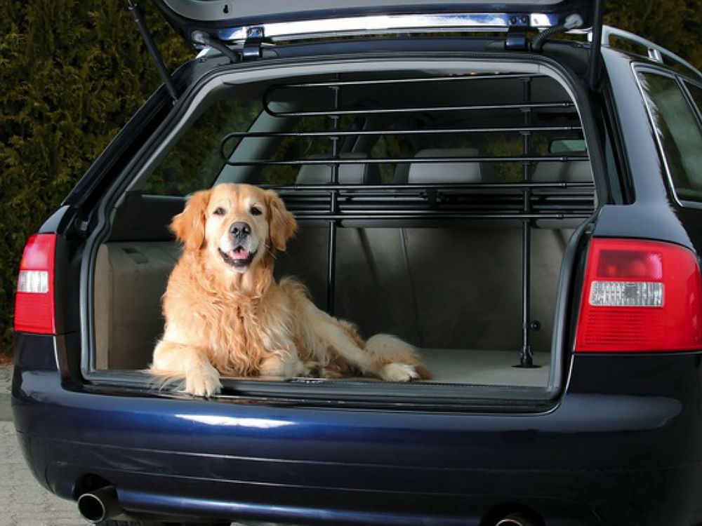 Hundebox fürs Auto - Dein Hund sicher im Kofferraum. Hunde Box aus