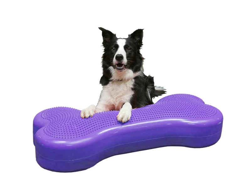 FitPaws Giant FitBone